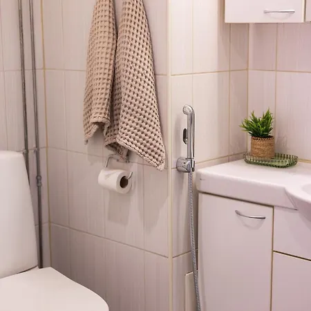 Chiq Boutique Flat In The Center * Rovaniemi